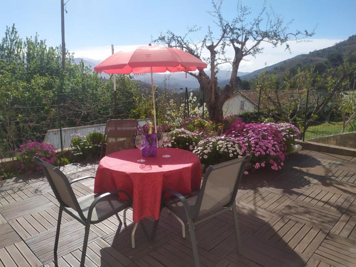 Studio Le Romantique A 20 Kms De Nice Bendéjun 外观 照片