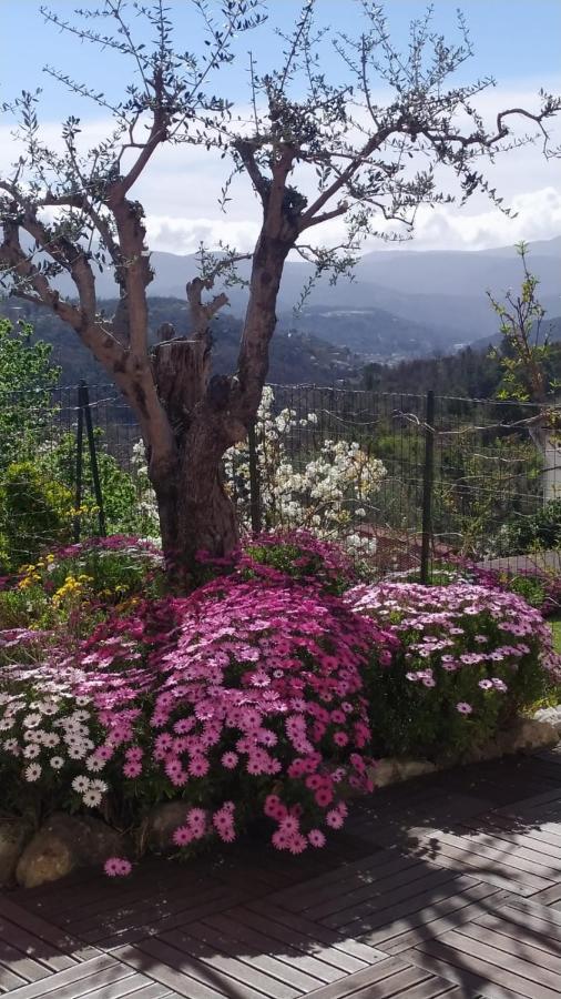 Studio Le Romantique A 20 Kms De Nice Bendéjun 外观 照片